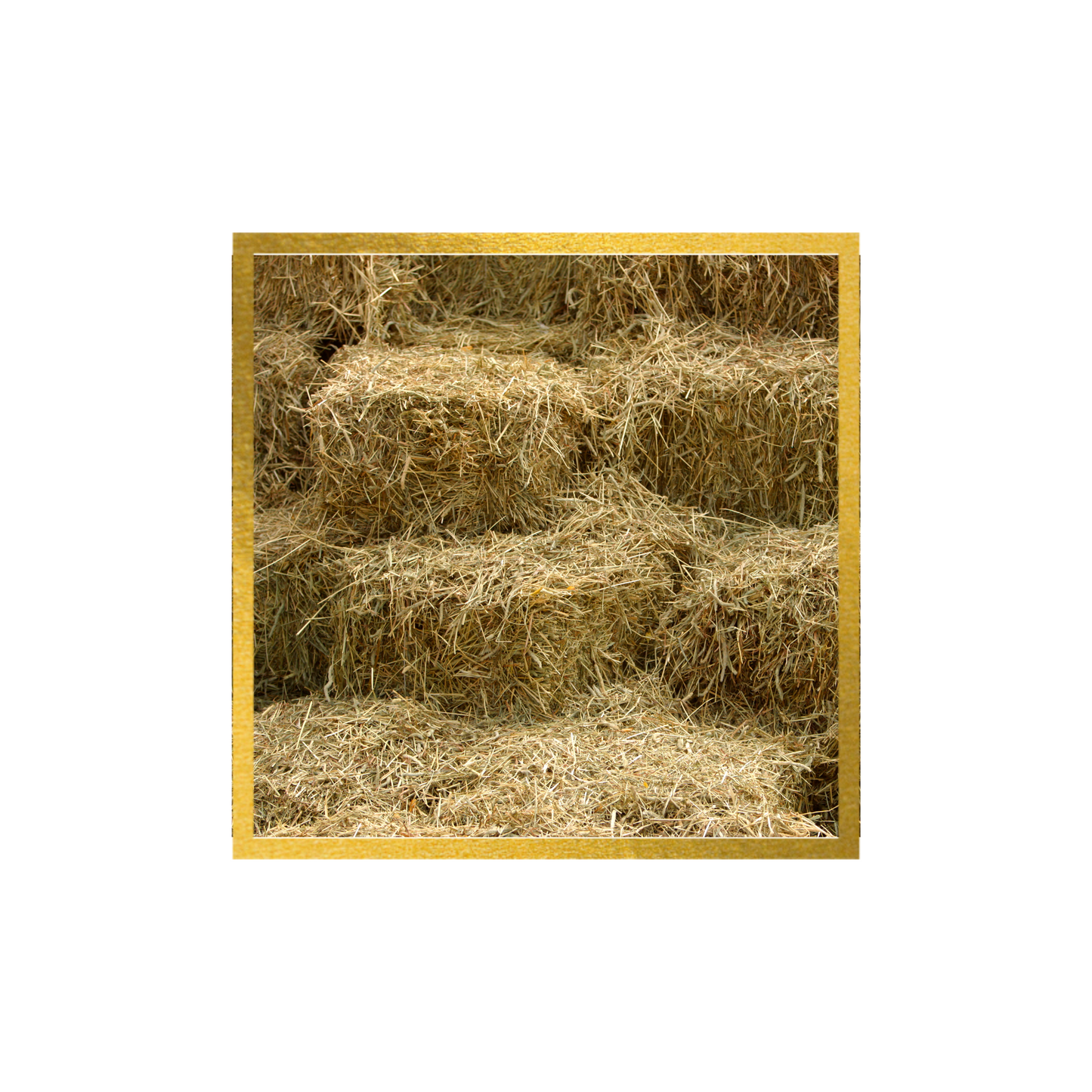 Mini Hay Bale