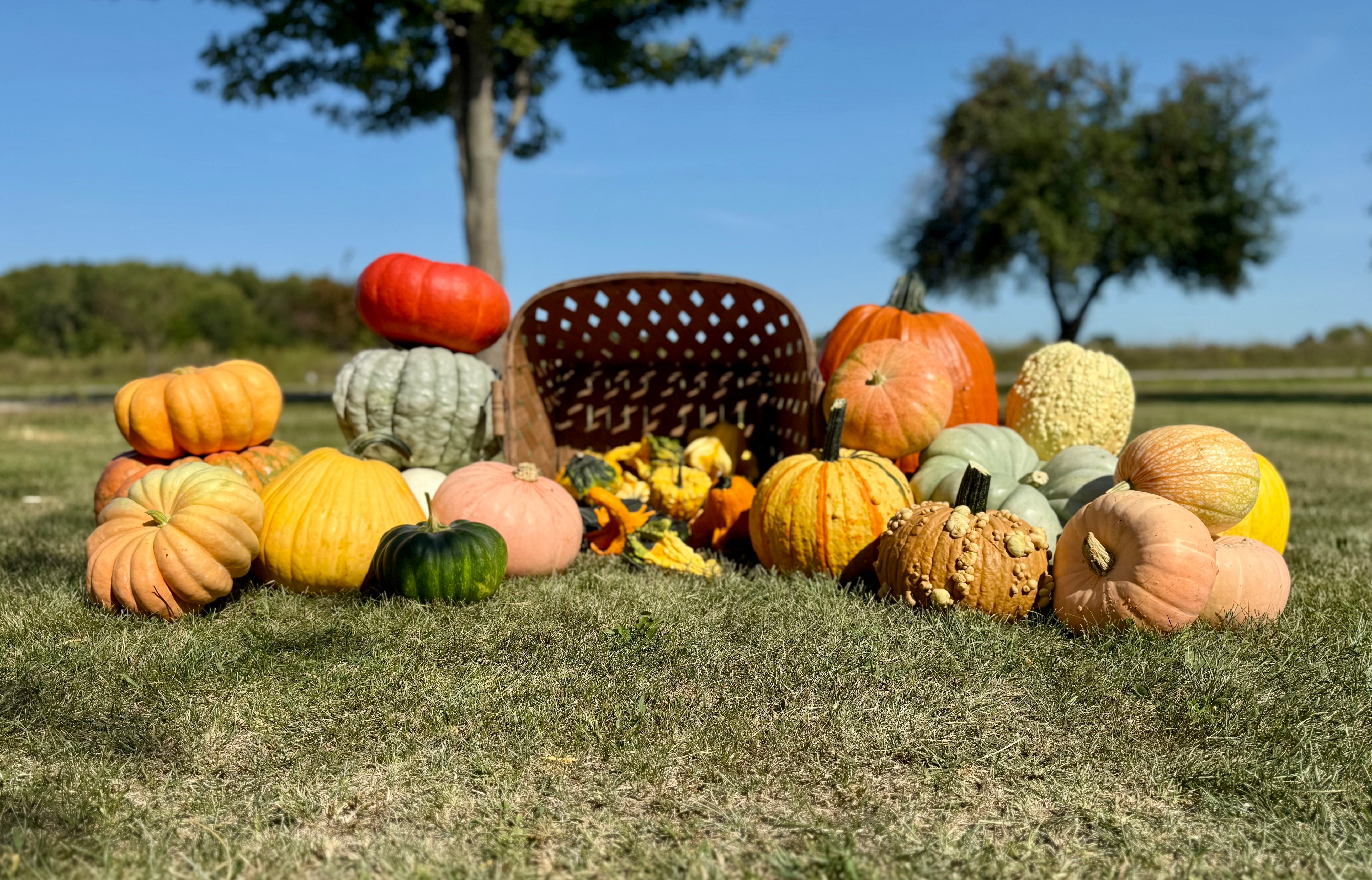 Heirloom DIY Pumpkin Kit | Whimsical Fall Decor – 'Kin Folk